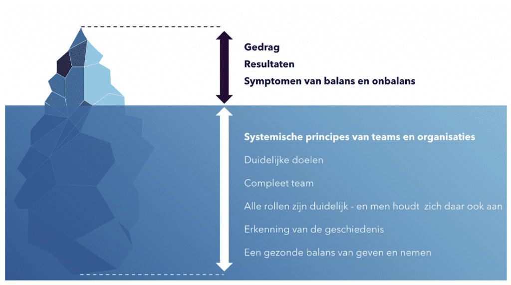 Team performance: de systemische principes